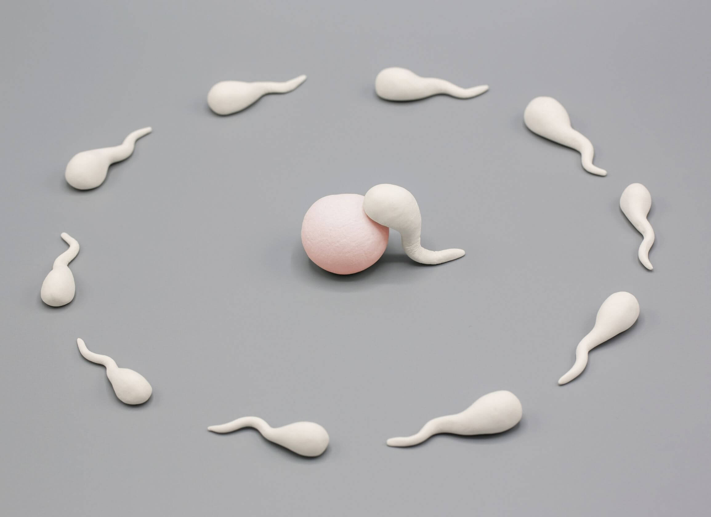 Does Releasing Sperm Affect Muscle Growth? pic