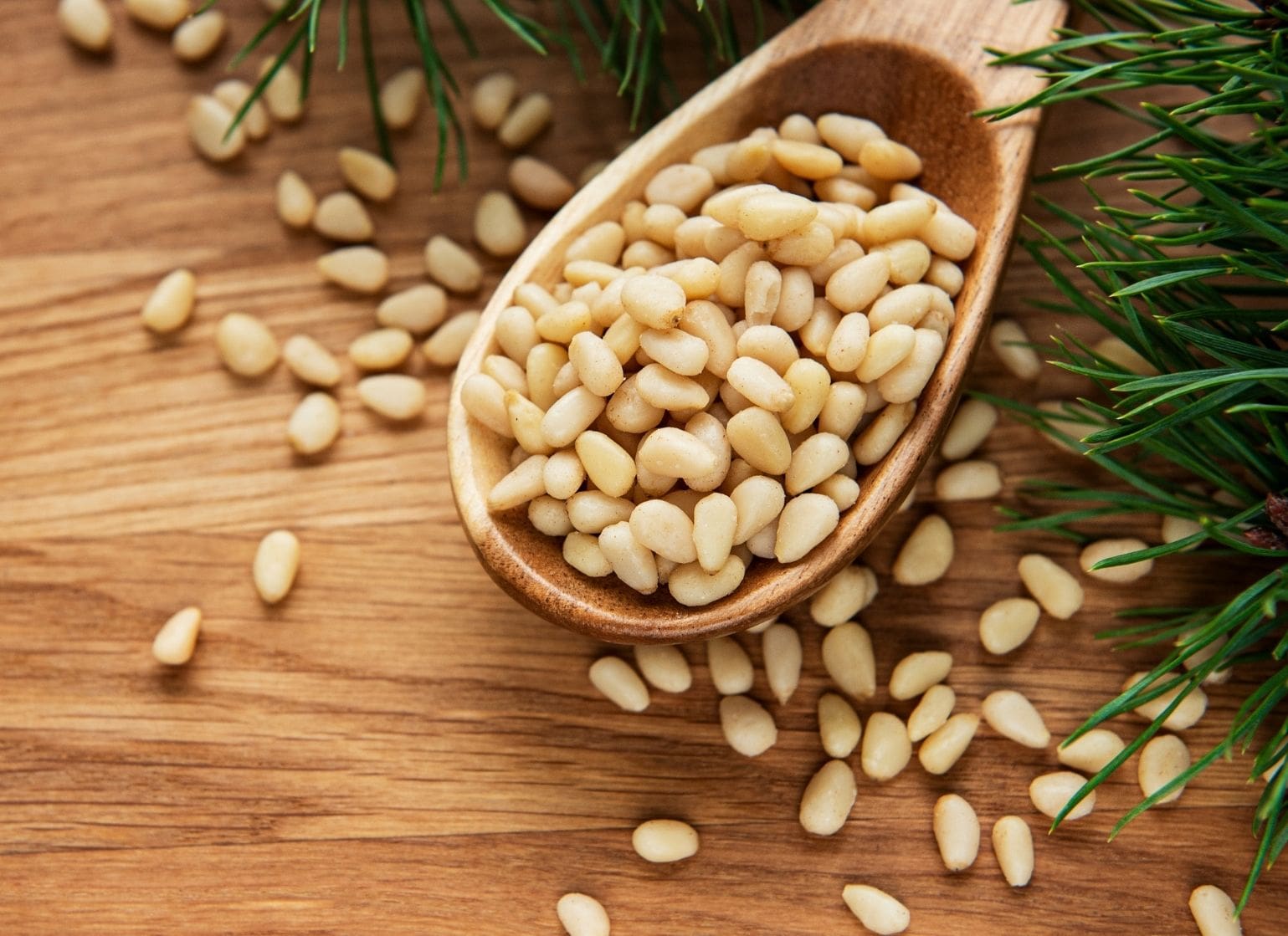 13 Mind Blowing Benefits Of Eating Chilgoza Pine Nut On Your Mind And 