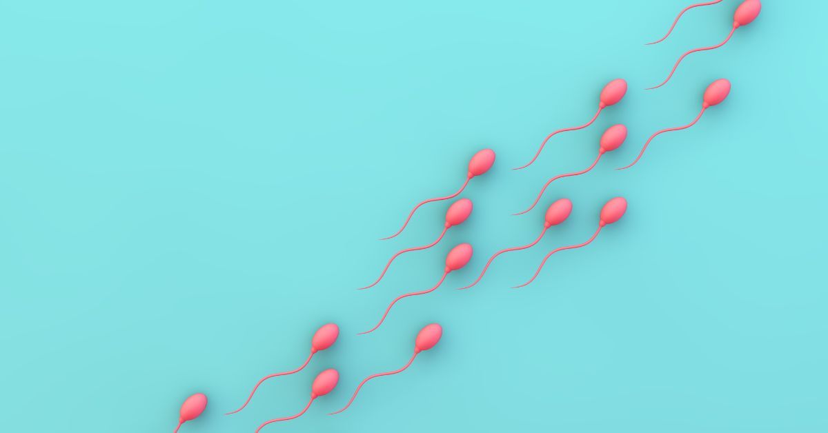 How To Make Sperm Stronger For Pregnancy Man Matters 