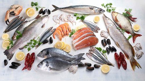 Types of Fish for Your Diet