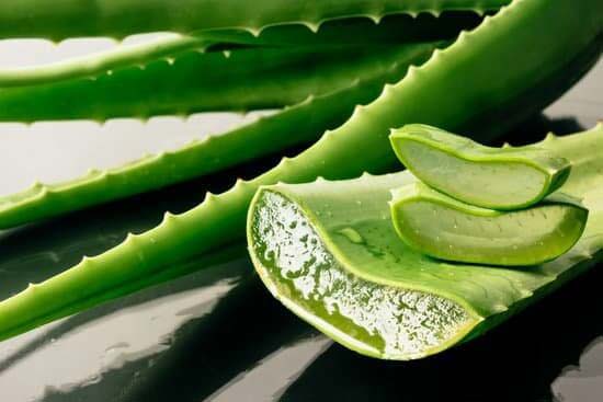 Why Aloe Vera Is Great For Removing Dandruff?