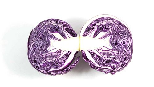 Purple Cabbage Benefits for Men