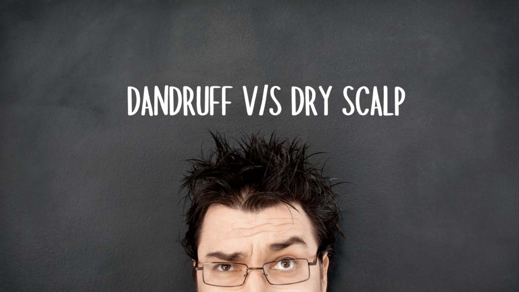 Dandruff Vs Dry Scalp | Difference & Treatment