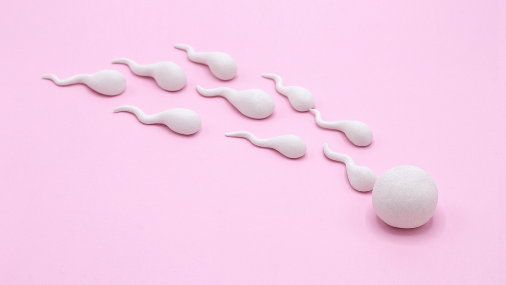 How To Confirm Whether Sperm Went Inside Your Partner: A Medically Approved Guide