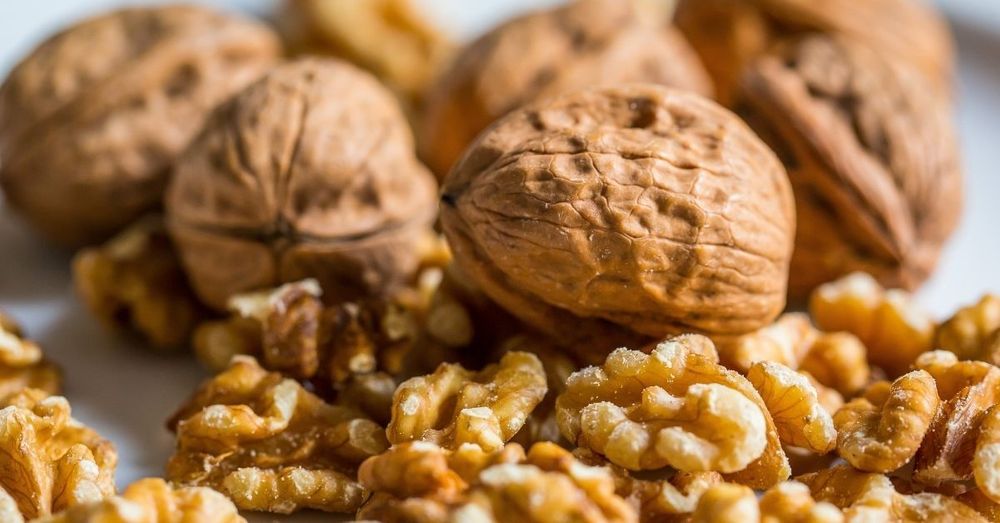 रोजाना अखरोट खाने के फायदे | Benefits of Eating Walnuts in Hindi