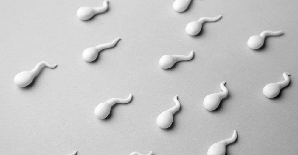 Sperm Meaning in Hindi | शुक्राणु क्या है?