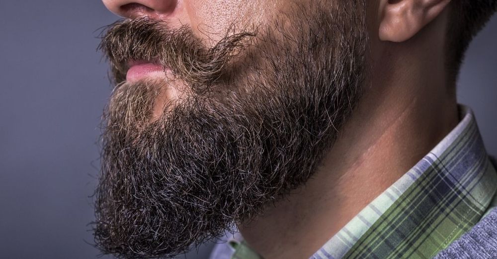 Ducktail Beard Types, Growing & Grooming Tips | Man Matters