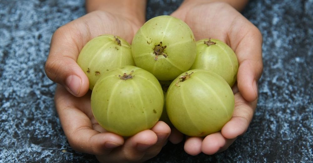 12 Evidence-Based Amla Benefits on your Body that You may be Unaware of!