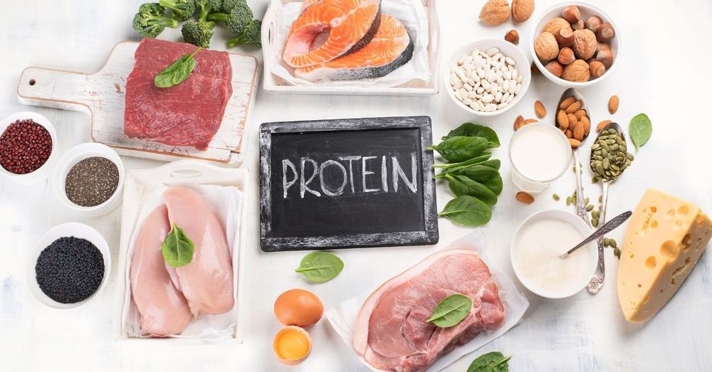 Protein Foods for Bodybuilding: 14 Top Recommended Foods By Experts!