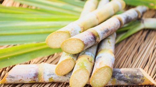 Top Sugarcane Juice Benefits You Didn't Know About