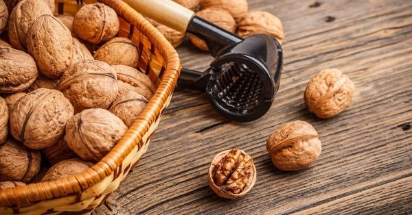 पुरुषों को अखरोट खाने के फायदे | Benefits of Eating Walnuts for Men in Hindi